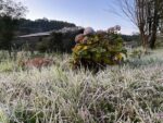 fotos:-campos-do-jordao-amanhece-com-geada-e-bate-novo-recorde-de-frio-no-ano