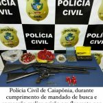 pc-cumpre-buscas-em-palestina-de-go-e-apreende-armas-de-fogo-com-investigado