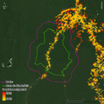 desmatamento-e-crimes-ambientais-pressionam-entorno-e-novas-terras-indigenas-demarcadas;-veja-raio-x