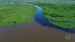 chuvas-transformam-a-paisagem-no-pantanal;-confira