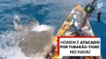 tubarao-tigre-ataca-caiaque-de-pescador-no-havai;-veja-video