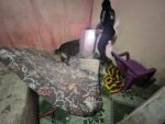 operacao-aparato:-policiais-buscam-suspeitos-de-integrar-duas-faccoes-criminosas-no-litoral-do-piaui