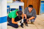 semana-de-vacinacao-antirrabica-inicia-em-santarem;-tutores-devem-levar-animais-na-divisao-de-vigilancia-animal