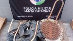 policia-militar-recupera-materiais-furtados-de-hospital-sao-jose