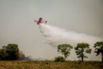 video:-incendio-atinge-parque-no-pantanal-de-mt-onde-ha-maior-concentracao-de-oncas-pintadas-no-mundo