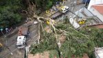 entenda-por-que-mp-quer-indenizacao-milionaria-da-prefeitura-de-campinas-por-morte-apos-queda-de-arvore