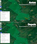 tempestade-ajuda-a-combater-incendio-no-pantanal-de-mt-e-regiao-possui-tres-focos-de-calor-ativos