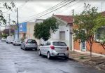 idoso-de-90-anos-e-internado-apos-ataque-de-abelhas-em-limeira;-caso-e-o-2o-em-um-dia-na-regiao