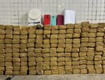 homem-e-preso-e-163-kg-de-maconha-sao-apreendidos-em-imovel-de-salvador