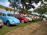 encontro-reune-colecionadores-apaixonados-pelo-fusca-neste-fim-de-semana-no-balneario-da-amizade,-em-presidente-prudente