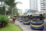 folioes-vao-contar-com-linhas-especiais-de-onibus-para-o-pre-carnaval-do-divino-2024