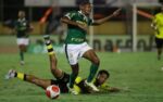 atuacoes-do-palmeiras-contra-o-sao-bernardo:-esse-estevao…