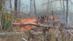 estudo-encontra-ligacao-entre-os-incendios-florestais-em-roraima-e-as-queimadas-controladas-autorizadas-pelo-governo-estadual