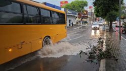 atencao:-defesa-civil-alerta-para-temporal-com-raios,-rajadas-de-vento-e-granizo-no-oeste-de-sc