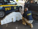 policia-apreende-carga-de-celulares-avaliada-em-r$-1,5-milhao-em-rodovia-de-ourinhos